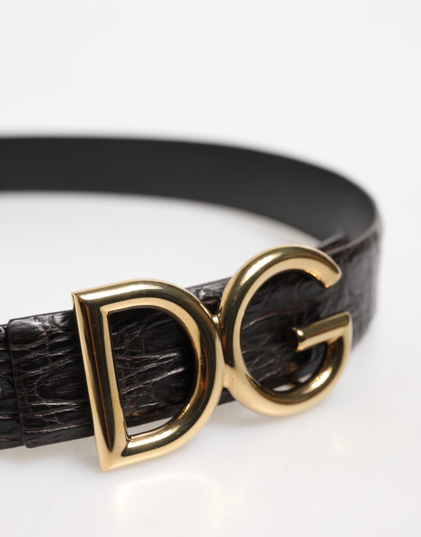 Ceinture à boucle logo DG en cuir exotique noir Dolce & Gabbana