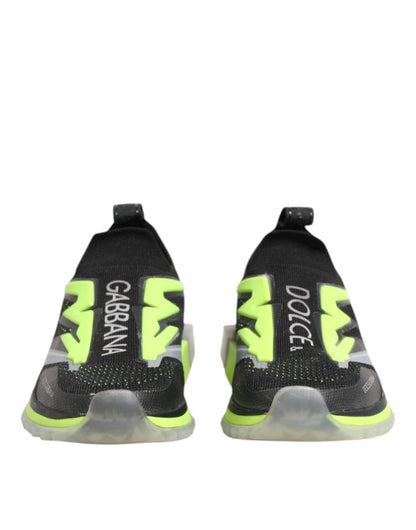 Dolce & Gabbana Multicolor Sorrento Low Top Sneakers Shoes