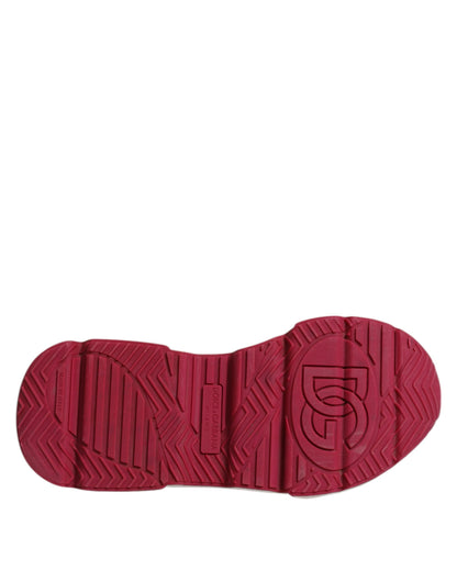 Sneakers basses Daymaster multicolores Dolce & Gabbana