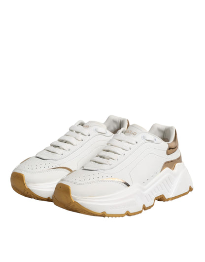 Sneakers basses Daymaster en cuir blanc et or de Dolce & Gabbana