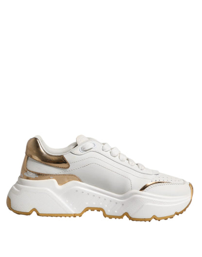 Sneakers basses Daymaster en cuir blanc et or de Dolce & Gabbana