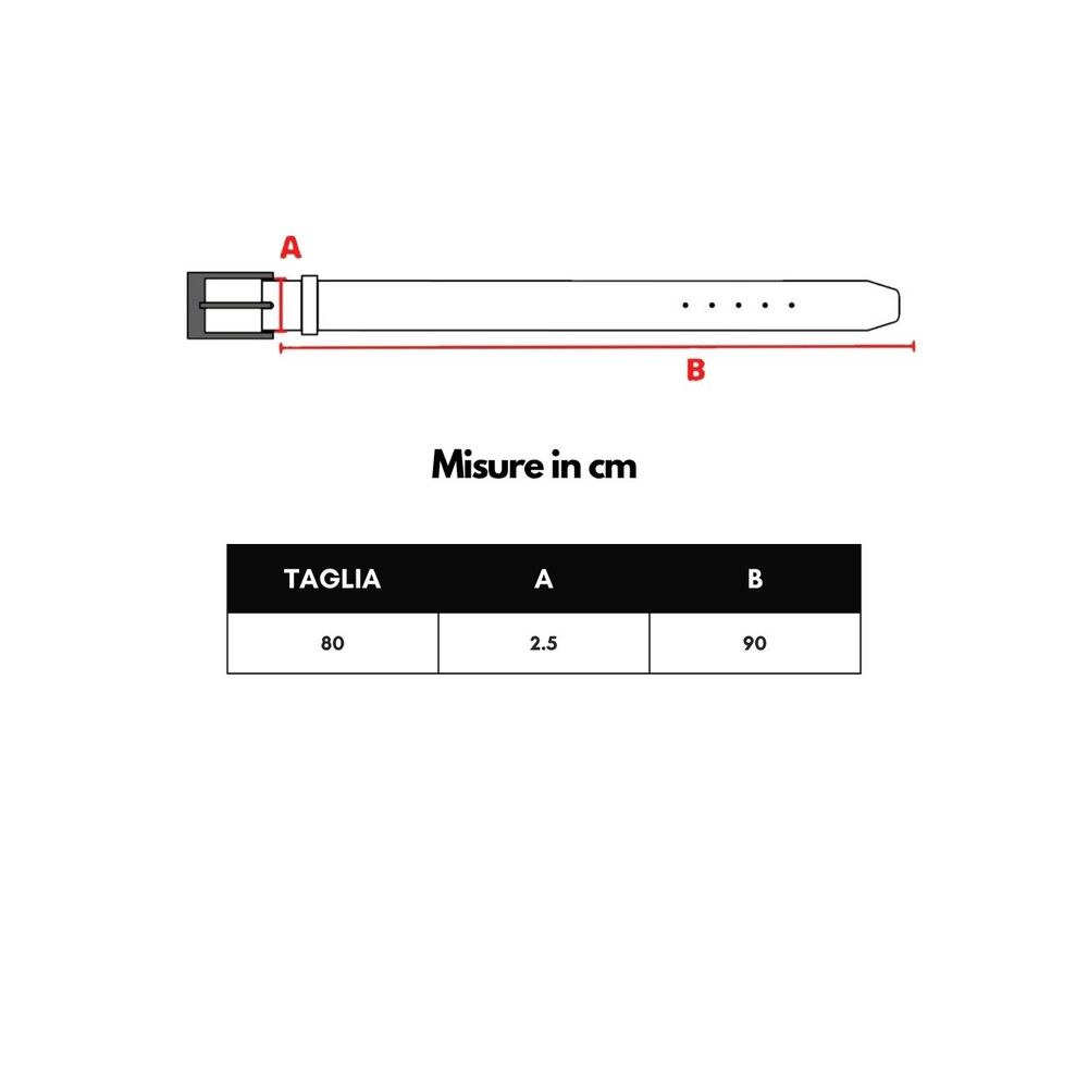 Dolce & Gabbana Gold Leather Belt