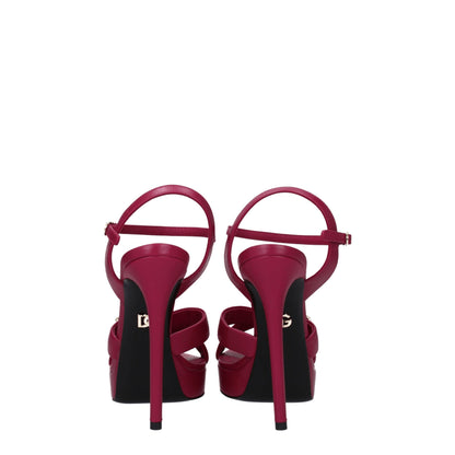 Dolce &amp; Gabbana Roze Lederen Platformschoenen