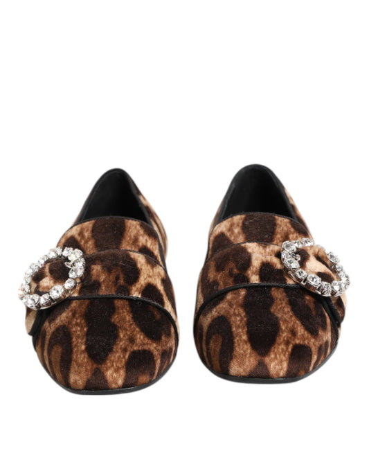 Dolce & Gabbana Brown Leopard Print Crystal Loafers Flats Shoes