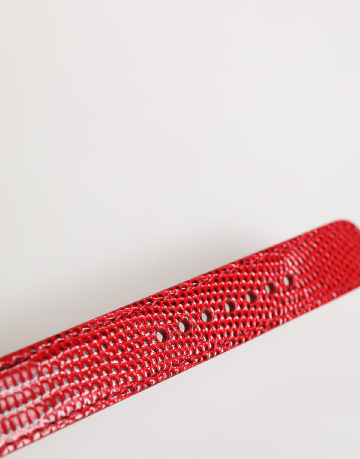 Dolce & Gabbana Red Exotic Leather Gold Tone Metal Buckle Armband