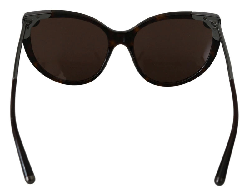 Dolce & Gabbana DG4337 Dark Havana Cat Eye Sunglasses for Women