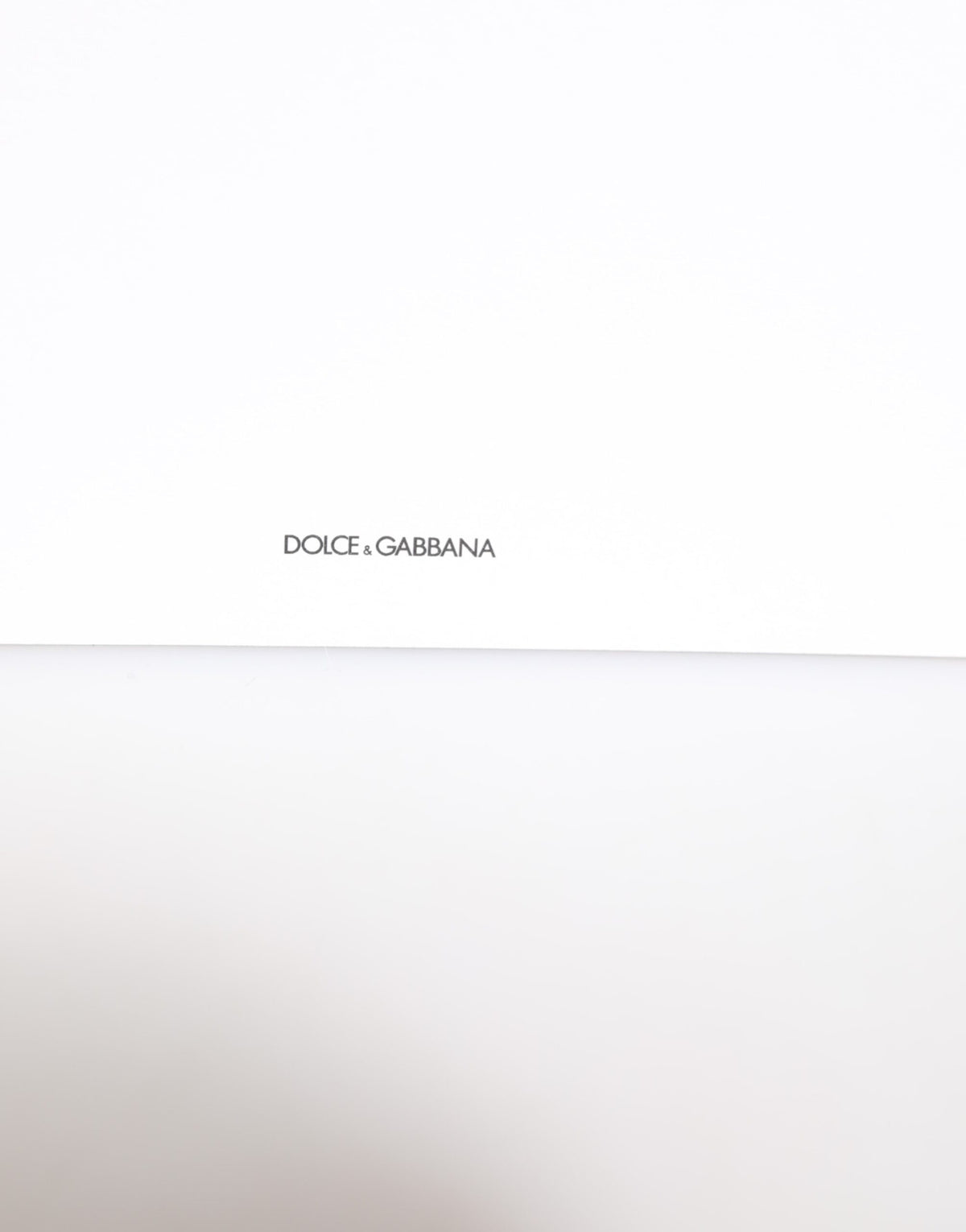 Dolce & Gabbana Multicolor Leopard Print Envelope Post Card Holder