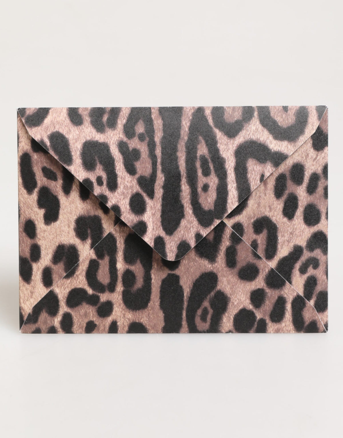 Dolce & Gabbana Multicolor Leopard Print Envelope Post Card Holder