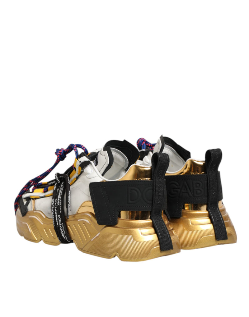 Dolce & Gabbana Multicolor Daymaster Low Top Sneakers