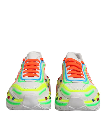 Sneakers basses Daymaster multicolores Dolce &amp; Gabbana