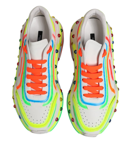 Sneakers basses Daymaster multicolores Dolce &amp; Gabbana