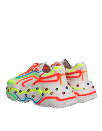 Sneakers basses Daymaster multicolores Dolce &amp; Gabbana