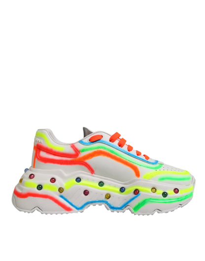 Sneakers basses Daymaster multicolores Dolce &amp; Gabbana