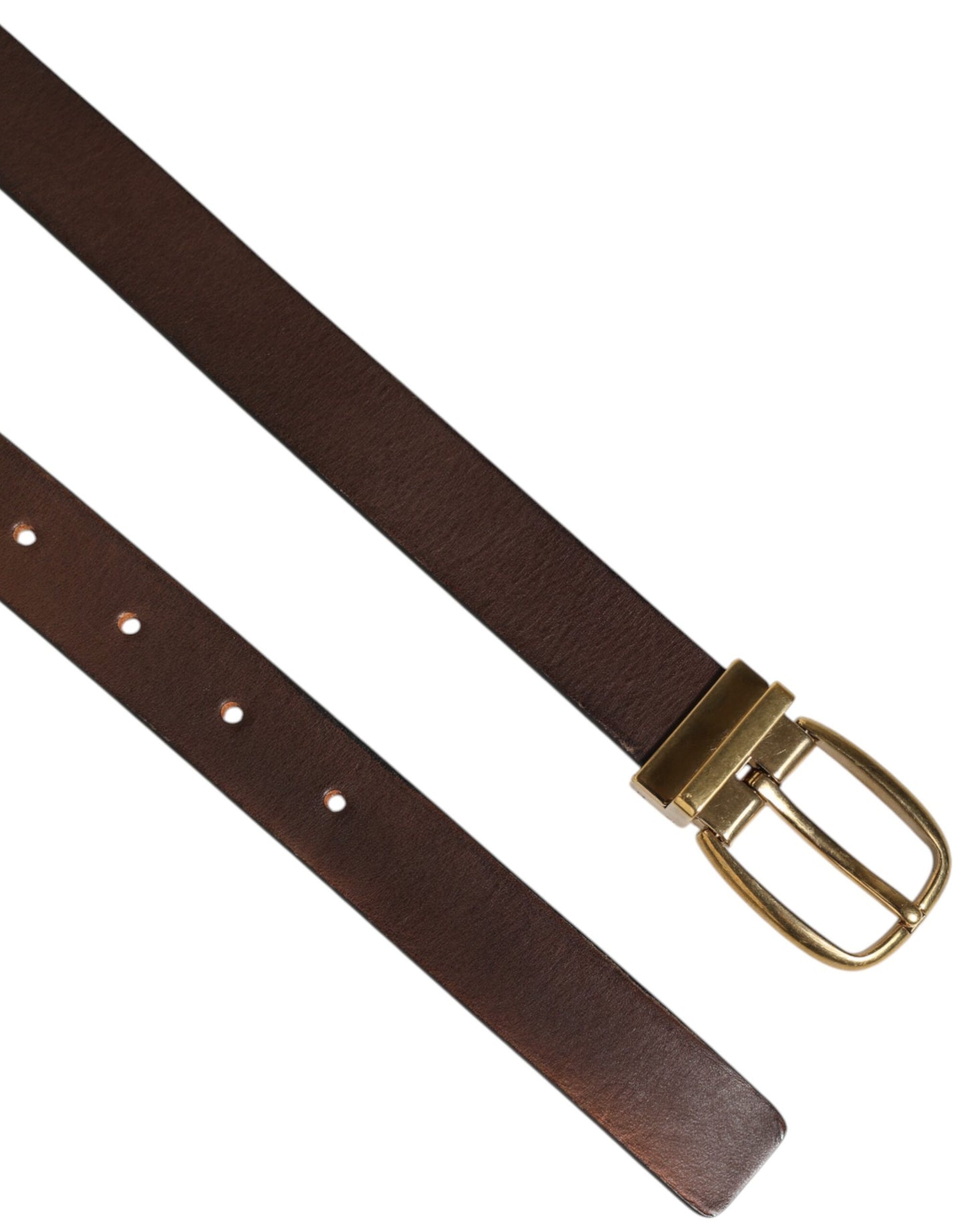 Dolce &amp; Gabbana Bruine Klassieke Gouden Metalen Logo Gesp Herenriem