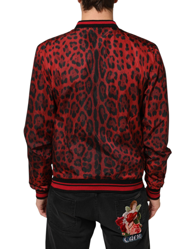 Veste bomber zippée Dolce & Gabbana à imprimé léopard rouge