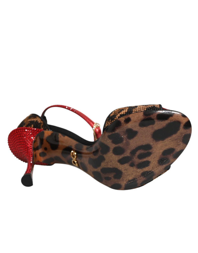 Dolce & Gabbana Sandales en cuir marron léopard avec roses en cristal