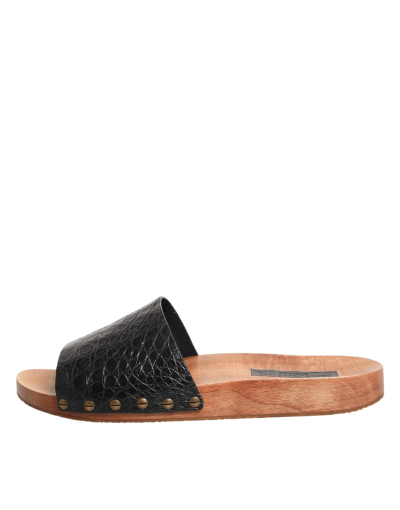 Dolce & Gabbana Black Brown Leather Slides for Men