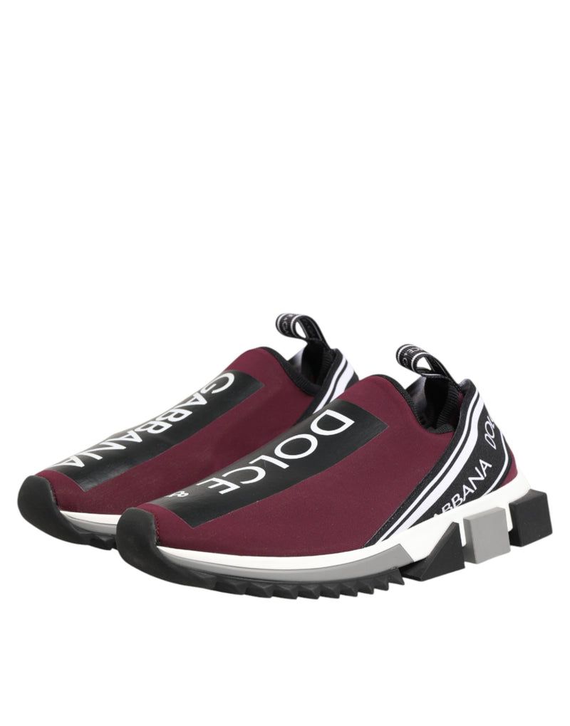Dolce & Gabbana Maroon Slip On Sorrento Men Sneakers