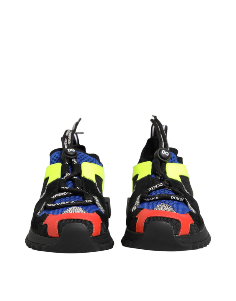 Dolce & Gabbana Multicolor Low Top Sorrento Sneakers
